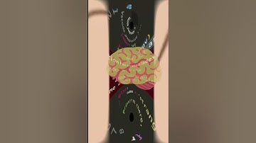 When programmers sleep 😭😭😭 #memes