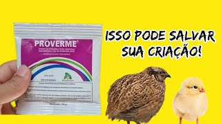 Como Usar Vermifugo Proverme Em Sua Criação