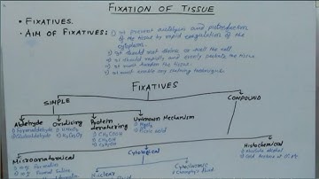 FIXATION_TYPES OF FIXATIVES_HISTOPATHOLOGY.