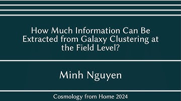 Minh Nguyen | How Much Information Can Be Extracted from Galaxy Clustering at the Field Level?