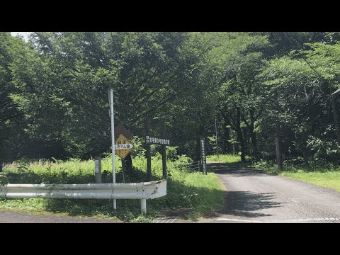 【デリカミニで行く】群馬県 林道 小野子山線（倒木）