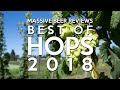 Massive Beer Reviews Best Of’s 2018 Extravaganza: My Favorite Hops I Reviewed in 2018