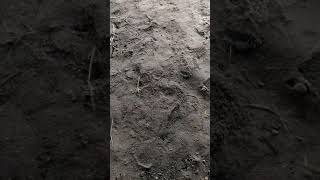 Source code aplikasi LMS Academy