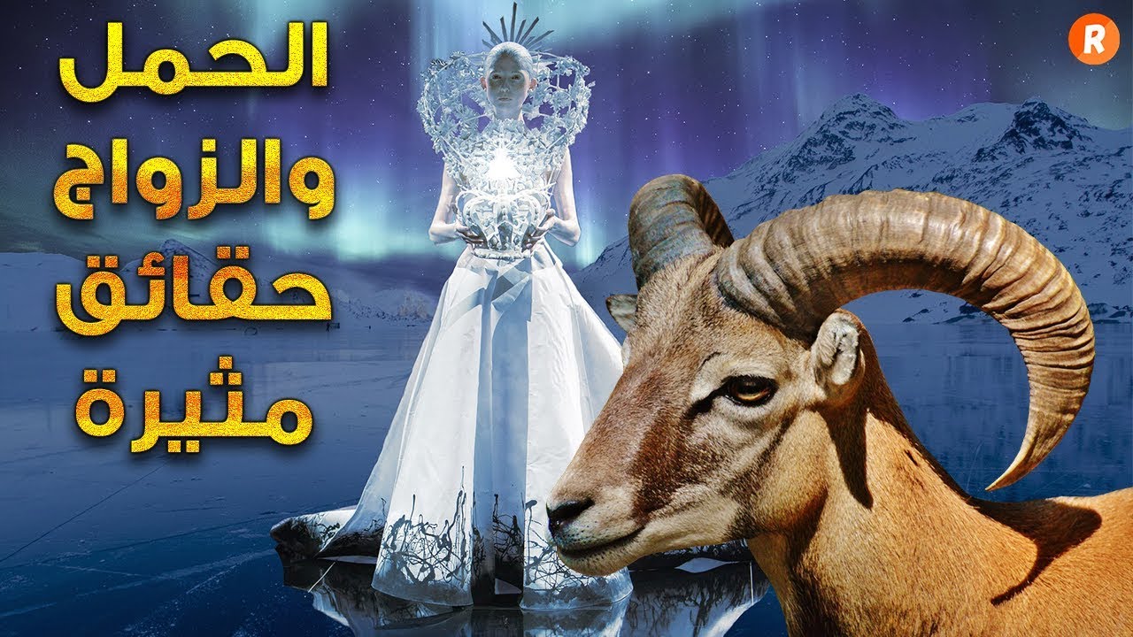 الحمل والزواج حقائق مثيرة تجعله الرقم واحد إكتشف لماذا ؟!!