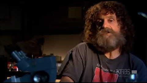 Stress, Portrait of a Killer: Robert Sapolsky: Full Documentary 2008, National Geographic