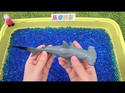 Learn Knowledge With Toys -Hammerhead shark- Kids Leraning Park