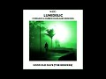 Lumidelic - Good Old Days (Ruben Hadland Remix) [1 Hour]