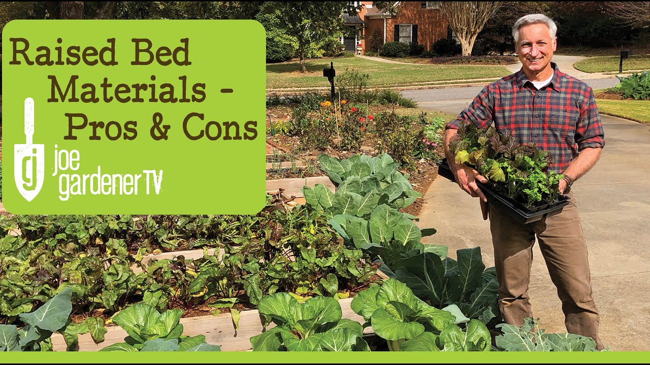 How to Build a Raised Bed Garden Materials Pros & Cons YouTube