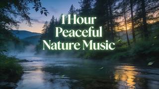 1 Hour Peaceful Nature Music 🌿 | Relaxing Ambient Sounds for Calm & Focus