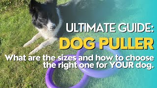 Finding the Right Dog Puller Size: A Comprehensive Guide