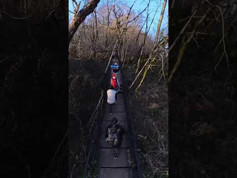 Insta 360 X3 c монологом 3 метра. Прогулка в лесу.