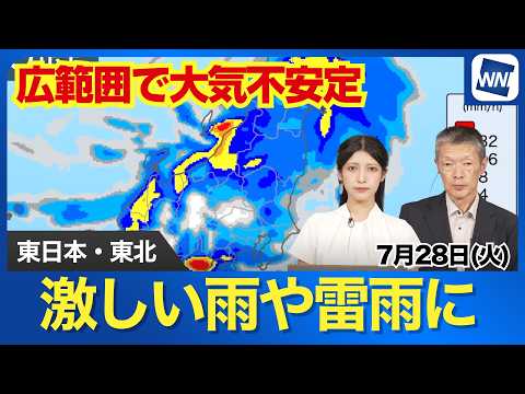 【雨情報】いつから降り出す? 東日本や東北で激しい雨や雷雨の恐れ 梅雨前線上の低気圧が北上(7月28日)