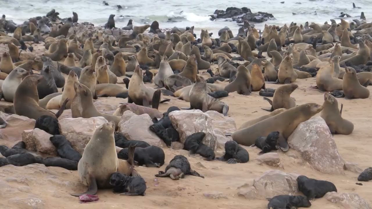 Unlock the Magic 15 Must See Attractions in Uruguay