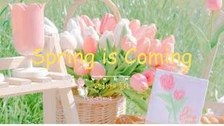 [Playlist] 봄 소식 배달 왔어요 🌼 봄 햇살과 꽃 향기를  담아서 || spring is coming