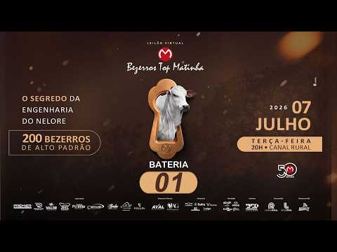 BATERIA 01
