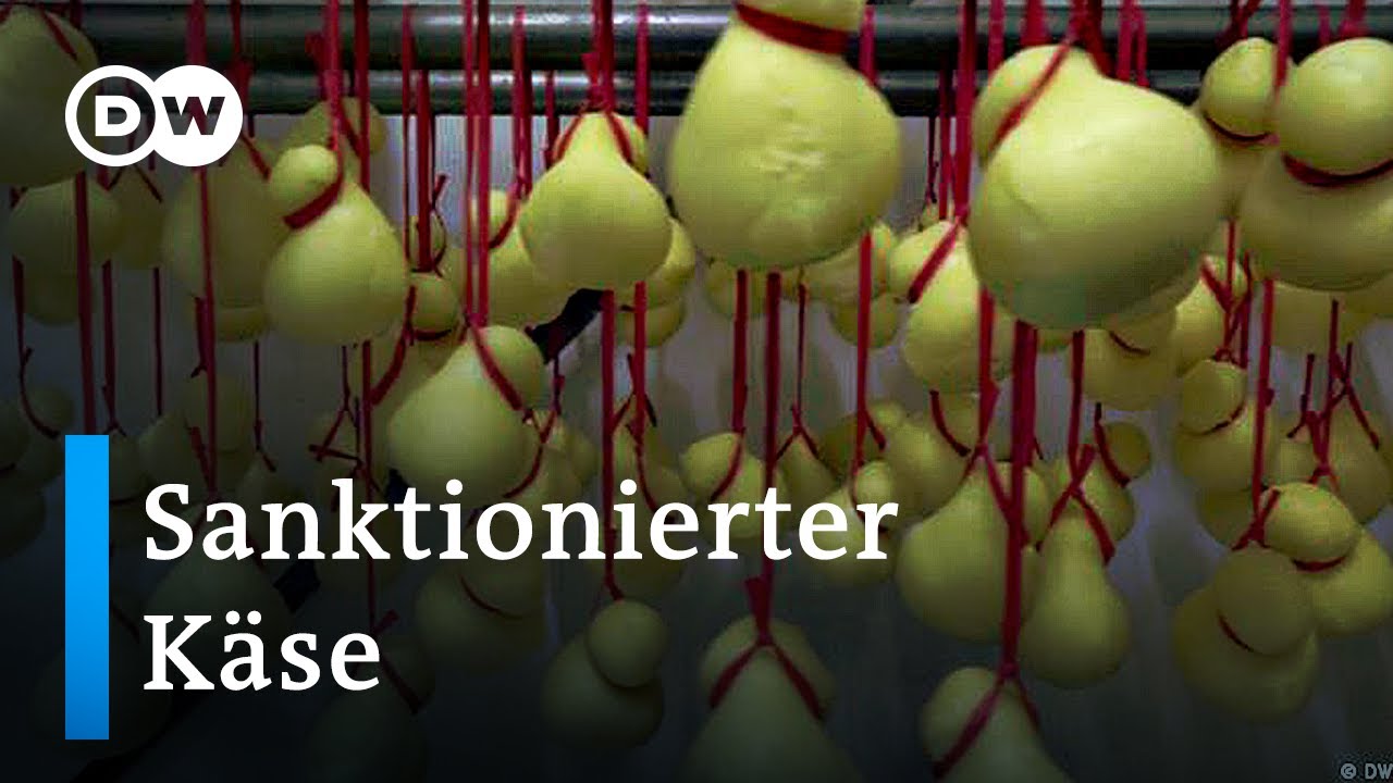 Sanktionierter Käse in Russland | Fokus Europa
