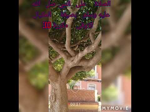 الصلاة على النبي مكررة 300 بالمكيال الاوفى واضب عليها ترزق رويته في المنام ومجاورته في الجنان امين 