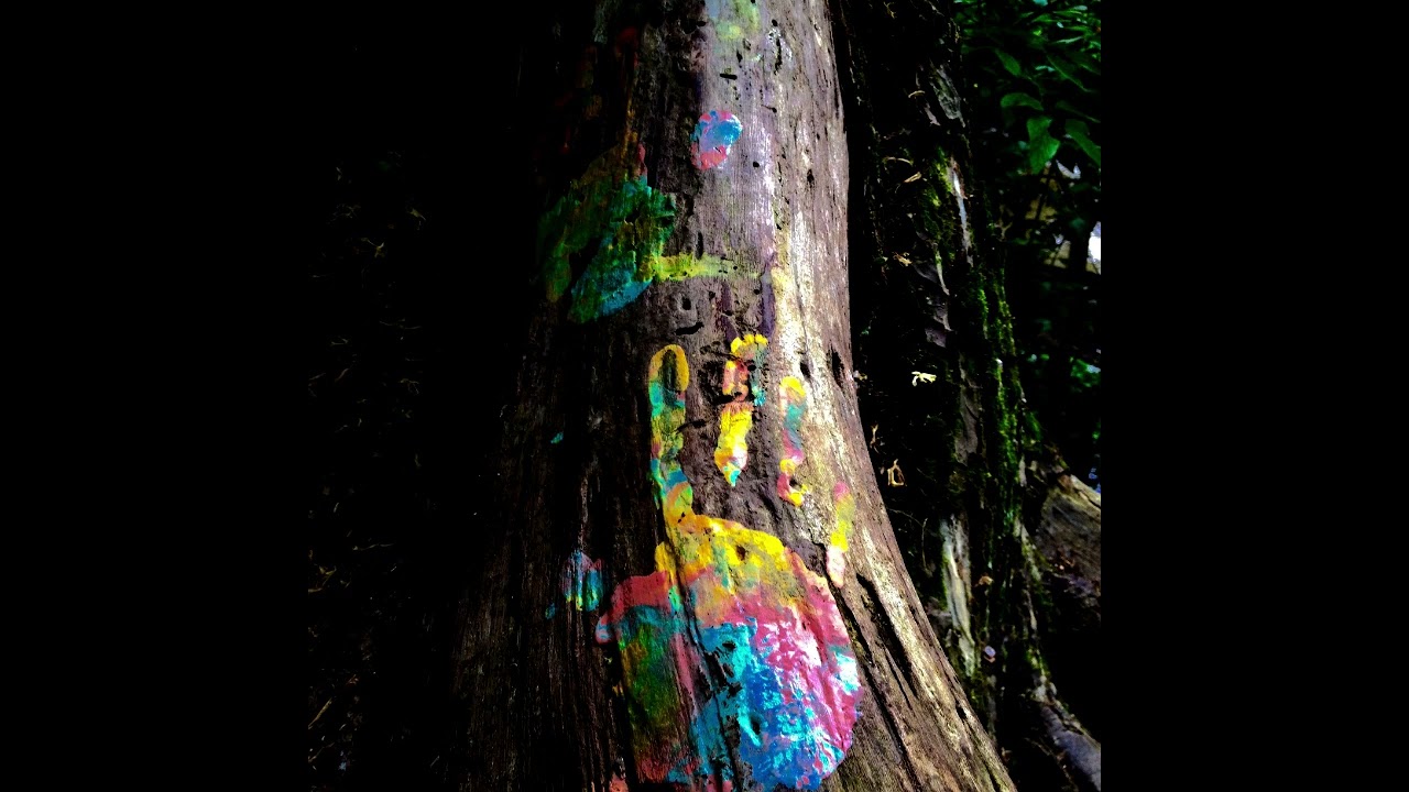 honest leaf | dog wine