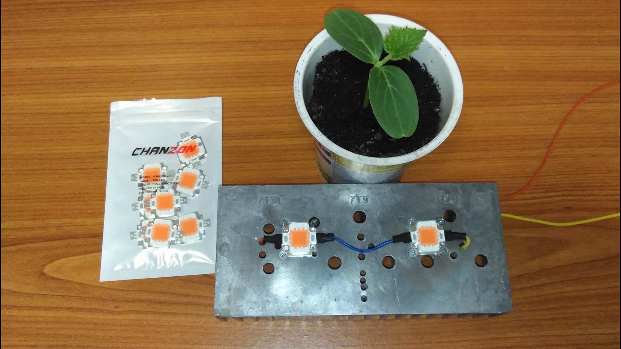 Фито светодиоды мощностью 10 Ватт с Али Экспресс - YouTube