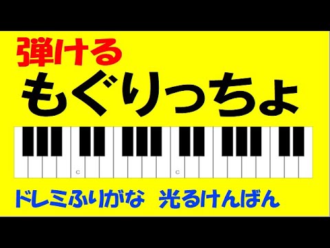 もぐりっちょ たのしいけんばんハーモニカ初級 ドレミ鍵盤つき