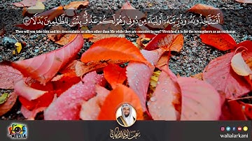 جديد NEW | سورة الكهف Surat Al-Kahf | عبدالولي الاركاني ABDULWALI ALARKANI