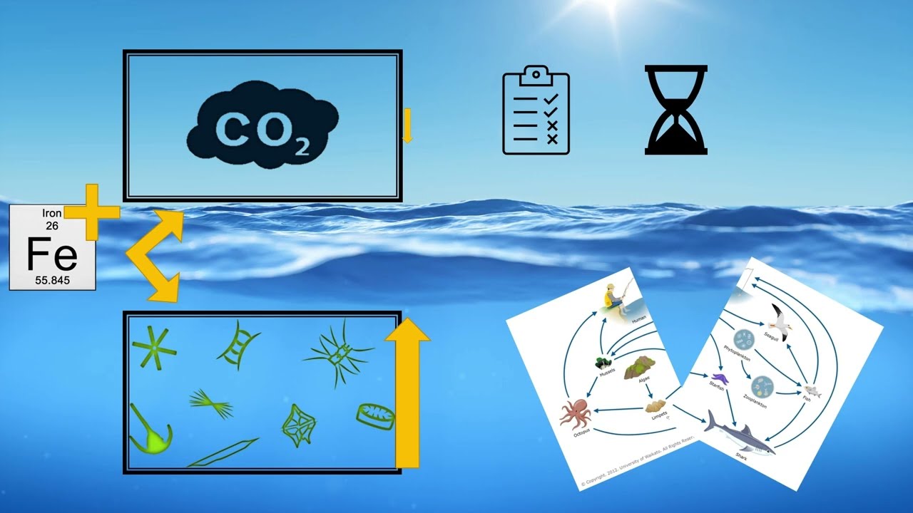 Enhancing oceanic biosequestration by iron fertilization