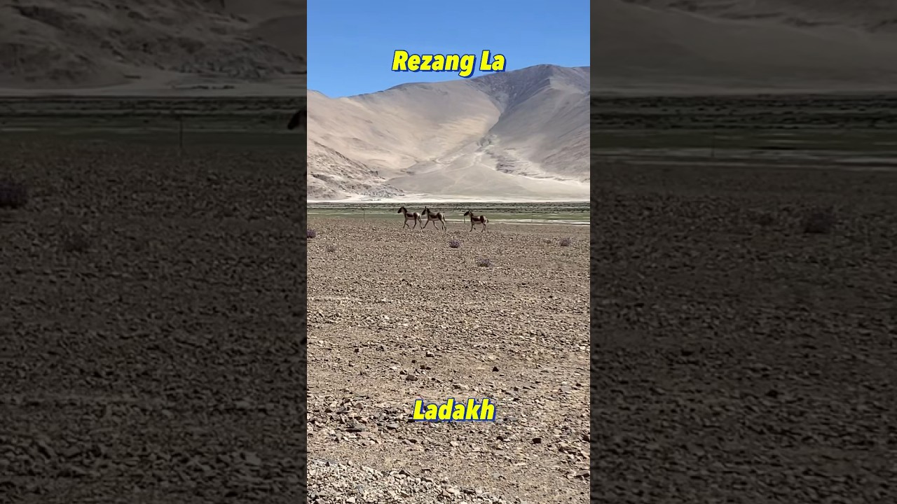 Rezang La China Tibet Border | Ladakh | incredible India