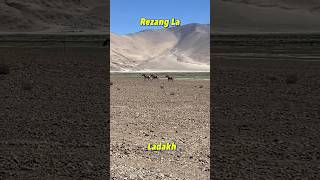 Rezang La China Tibet Border | Ladakh | Incredible India