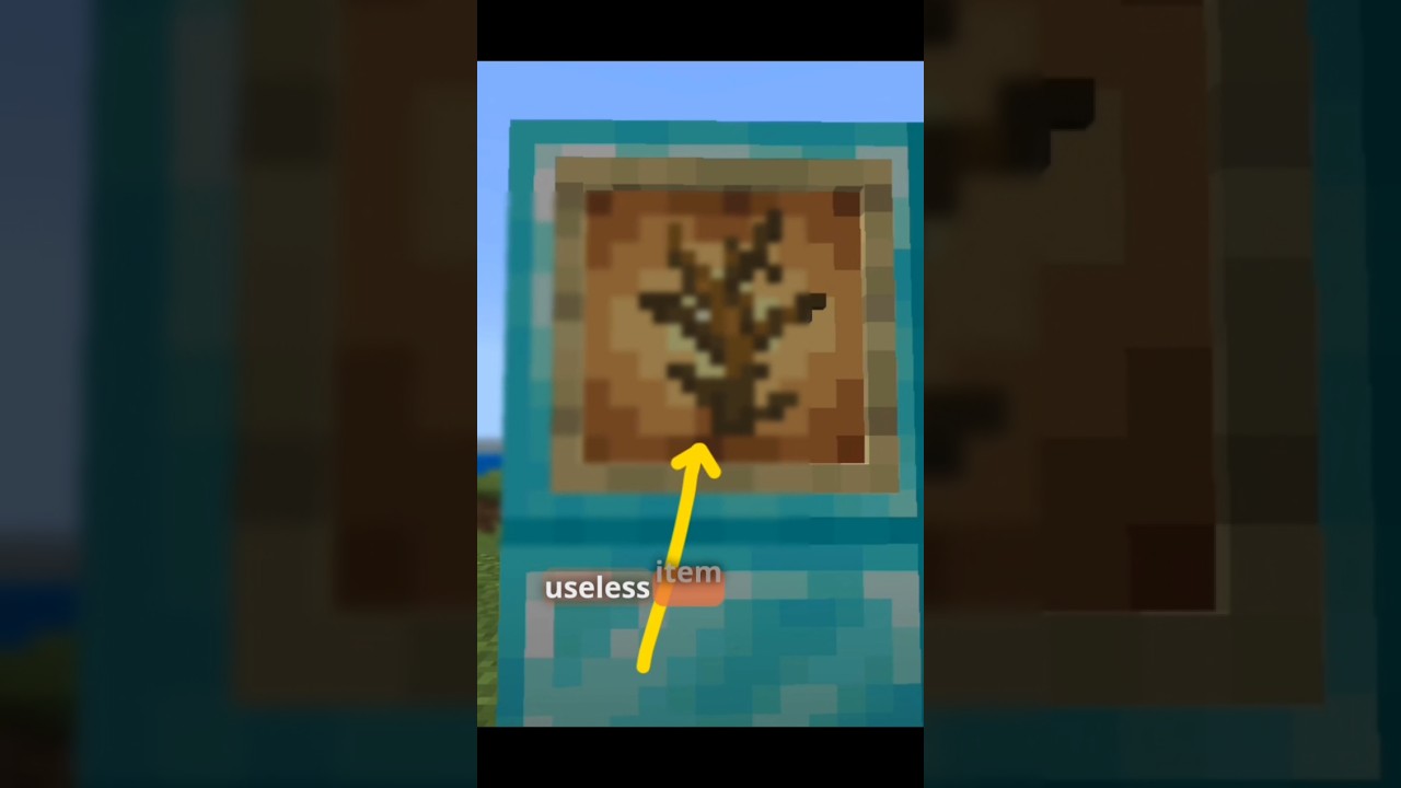 Minecraft secret about useless item 