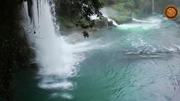 تلاوة هادئة تريح القلب من سورة النور للقارئ الشيخ مشاري راشد العفاسي