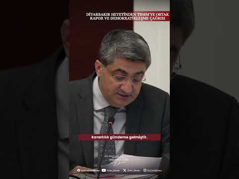 Diyarbakır Heyetinden TBMM’ye Ortak Rapor ve Demokratikleşme Çağrısı