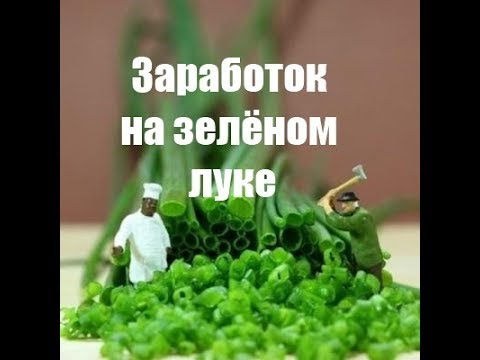 Заработок на зелёном луке