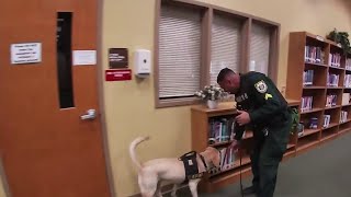 Stopping Teen Vaping