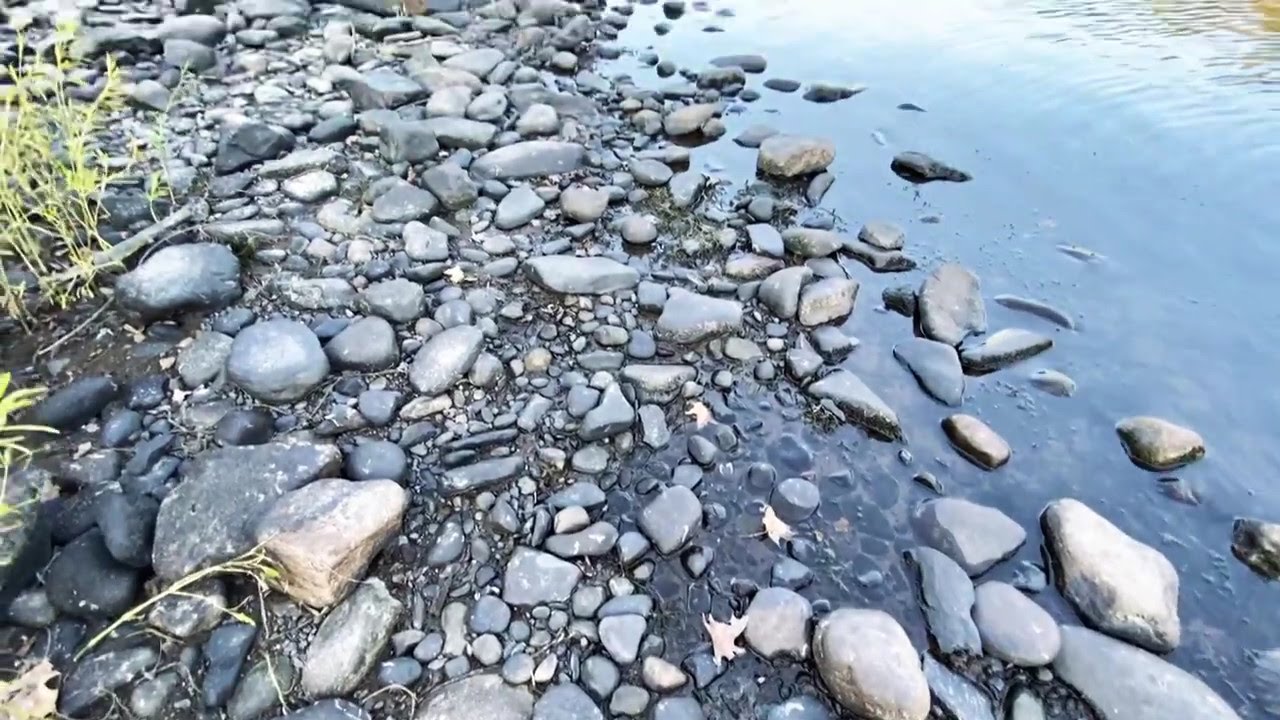 Delaware River at Dingmans Ferry Access in Pike County PA