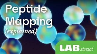 Peptide Mapping for Pharmaceuticals Explained | LABstract
