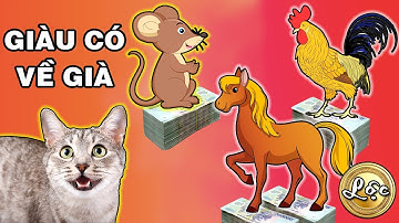 4 Con Giáp Tứ Hành Xung Được Trời Che Trở Càng Già Càng Giàu.