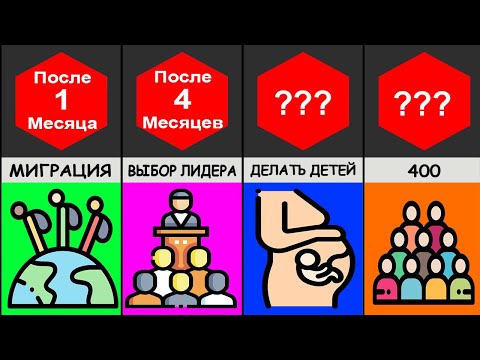 Временная Шкала: Что Если На Земле Останется 100 Человек