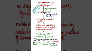 How to inactivate a gene using insertional inactivation #geneticengineering #shorts