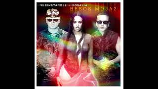 Wisin & Yandel, Rosalía - Besos Moja2 (Instrumental)