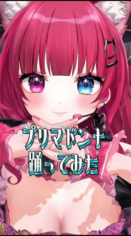 星街すいせいちゃんの新曲！ #shorts #プリマドンナ #星街すいせい #ホロライブ #hololive #vtuber #愛猫はにゃ