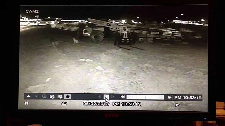 Young mountain lion on security camera rapid city sd