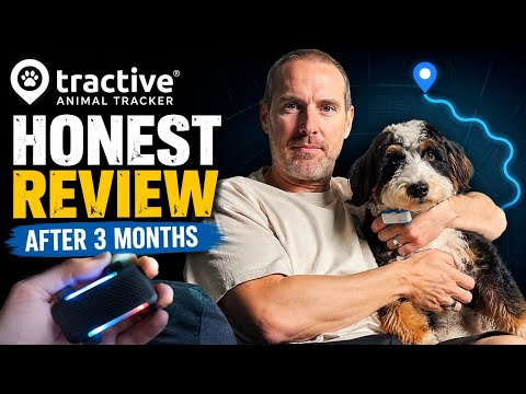 Is Tractive worth it?  Honest Review of GPS Animal Tracker