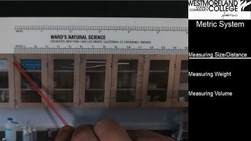 General Biology 1 - Lab - Metric Part 1