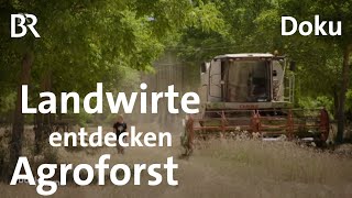 Ackern unter Bäumen: Landwirte entdecken den Agroforst | DokThema | Doku | Klimawandel | BR