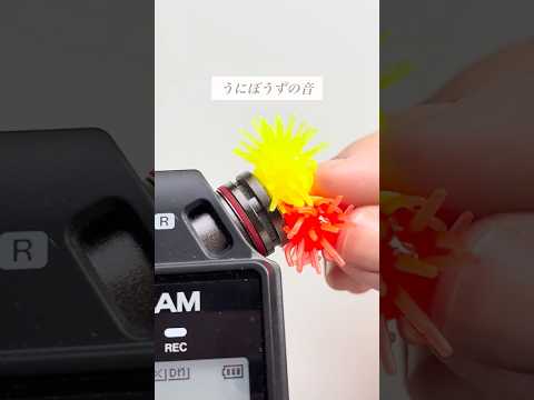 【ASMR】ゾクゾクするうにぼうずの音｜100均｜セリア #asmr #睡眠用 #shorts