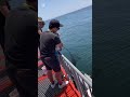 須磨海釣り公園　日中でも大サバが釣れる！！