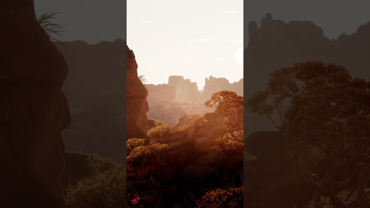 Desert Environment