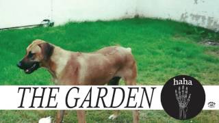 The Garden - "Everything Has a Face" (Full Album Stream)