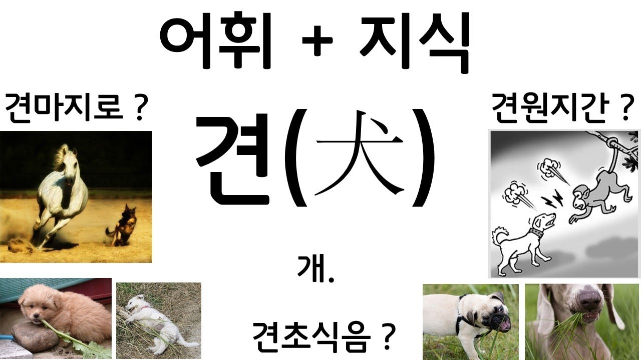 견(犬) - 개. (feat. 견마지로,견원지간,견초식음) [한글 어휘] - YouTube