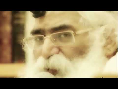 הרב יורם אברג'ל - המסר היומי - בקצב שלך - כ"א כסלו תשפ''ד